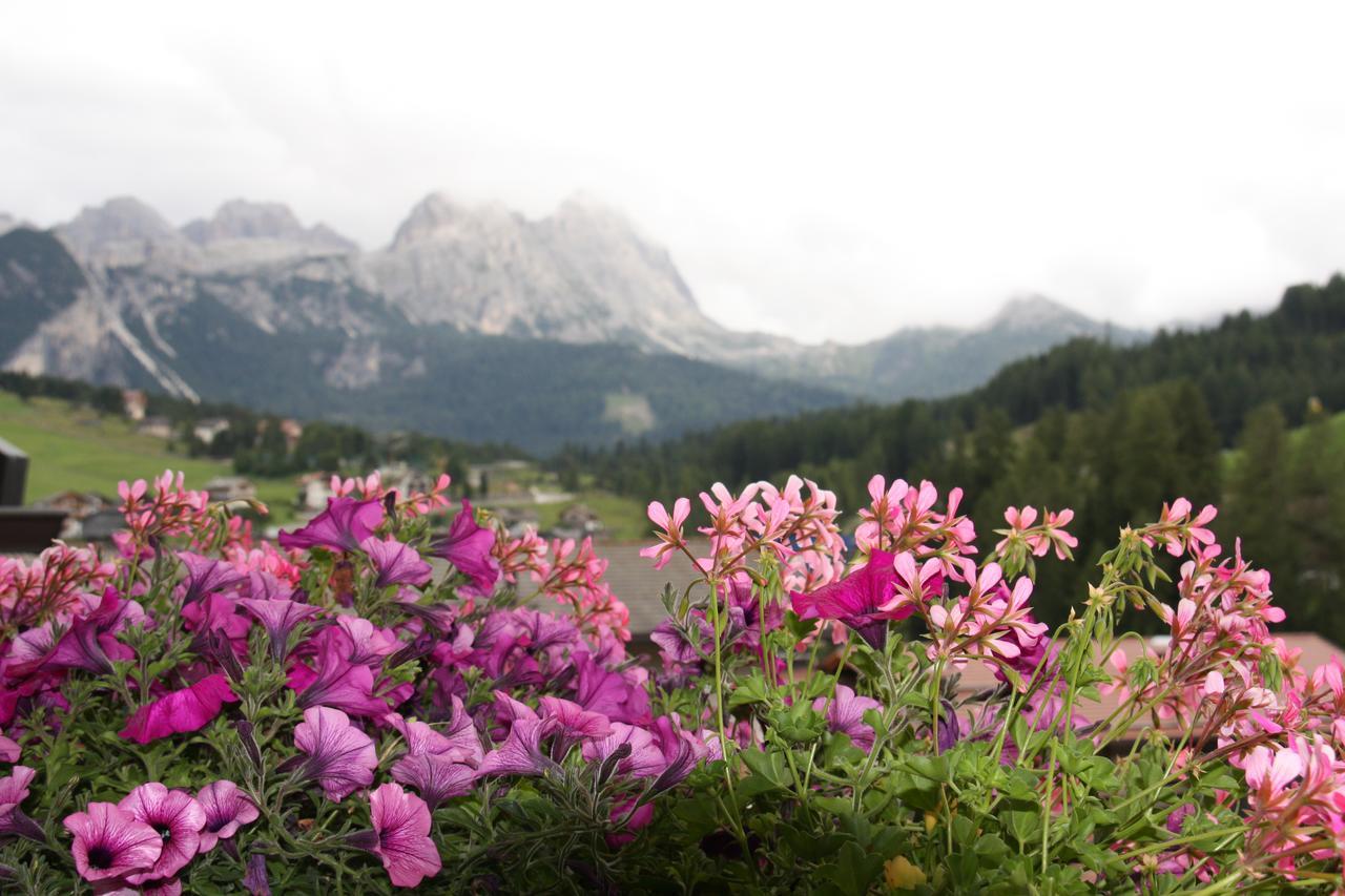 Residence Vajolet San Cassiano San Cassiano  Dış mekan fotoğraf