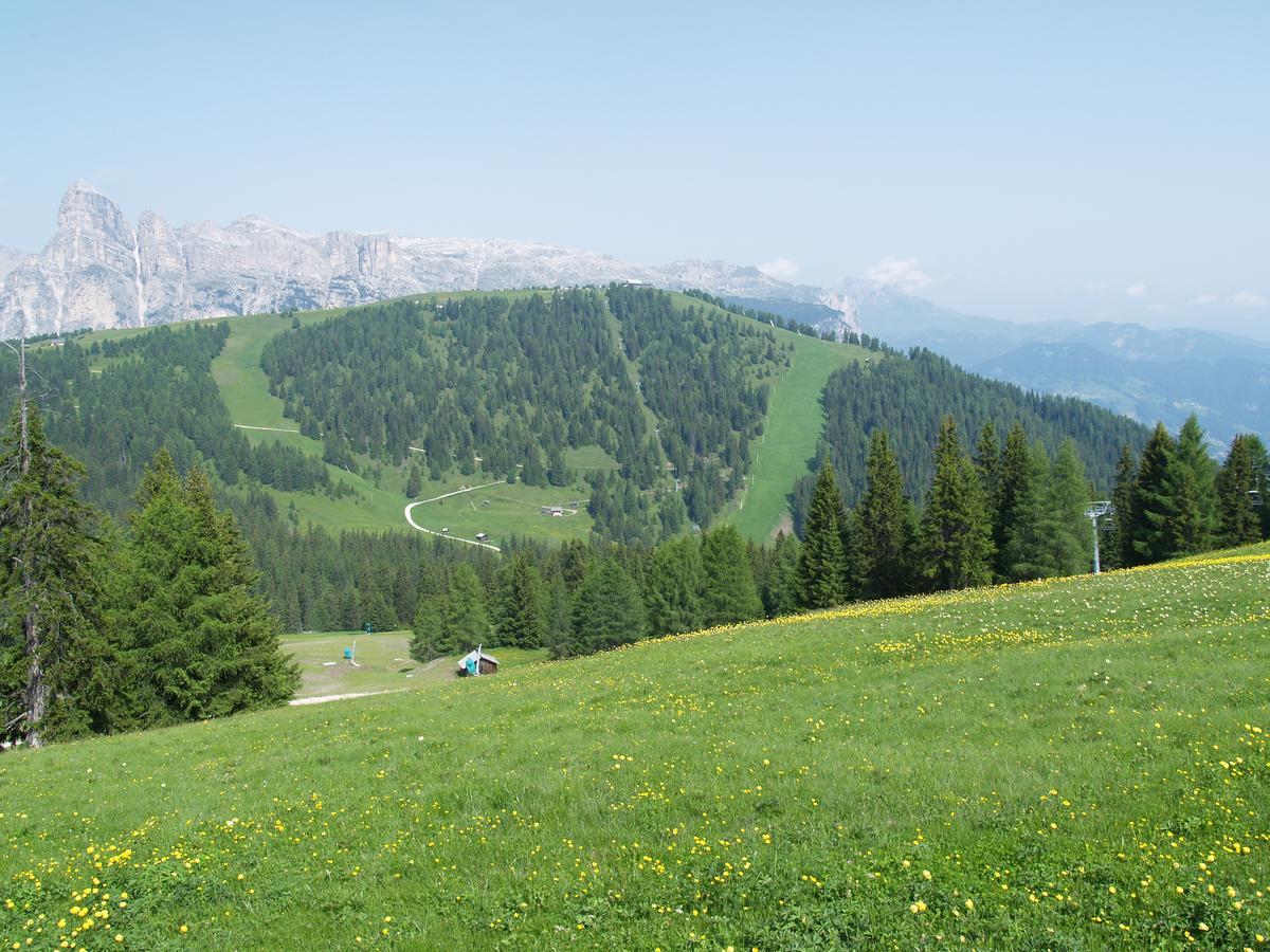 Residence Vajolet San Cassiano San Cassiano  Dış mekan fotoğraf